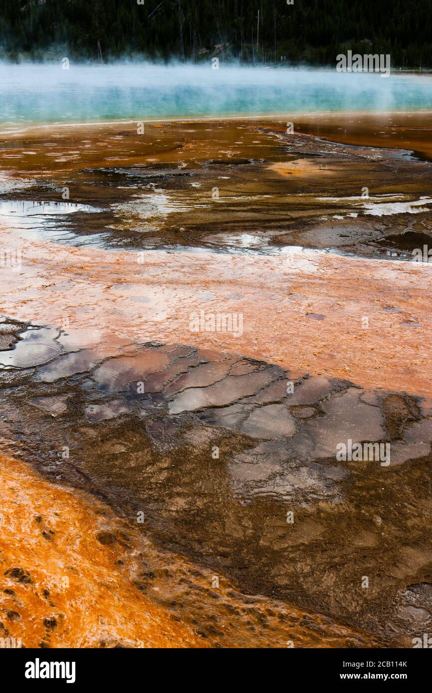 Détail coloré du Grand Prismatic Hot Spring à Yellowstone Parc national Banque D'Images