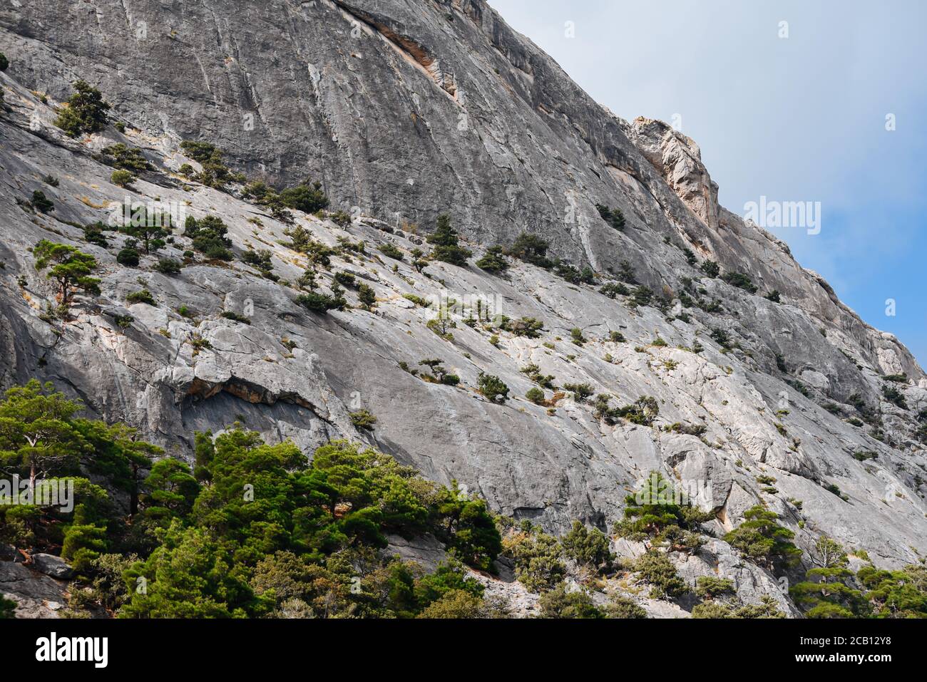 Les petits arbres poussent sur les falaises de montagne. Paysage coloré. Arrière-plan nature. Banque D'Images