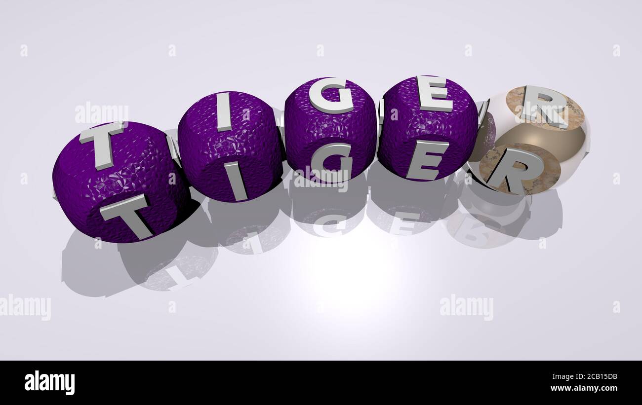mots croisés de TIGRE disposés par des lettres cubes sur un fond miroir, concept sens et présentation. Animal et illustration. Illustration 3D Banque D'Images