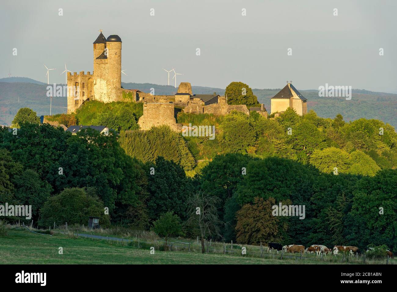 Ruines du château médiéval Greifenstein, Greifenstein, Dilltal, Westerwald, Geopark Westerwald-Lahn-Taunus, Hesse, Allemagne Banque D'Images
