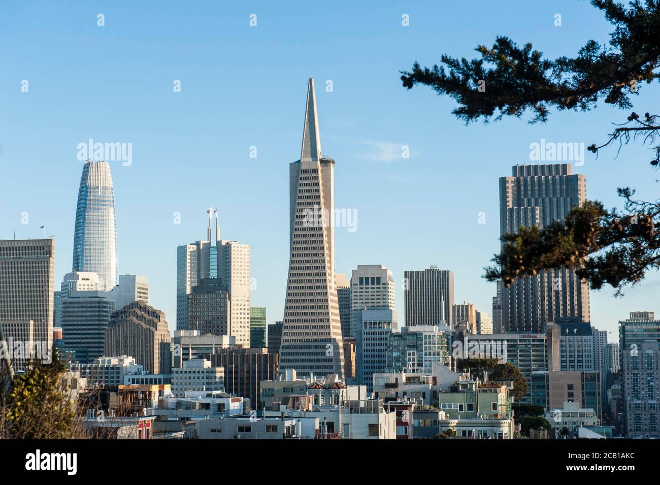 Vue sur la ville depuis Telegraph Hill, quartier financier avec gratte-ciel Salesforce Tower sur la gauche et Transamerica Pyramid au milieu, San Banque D'Images