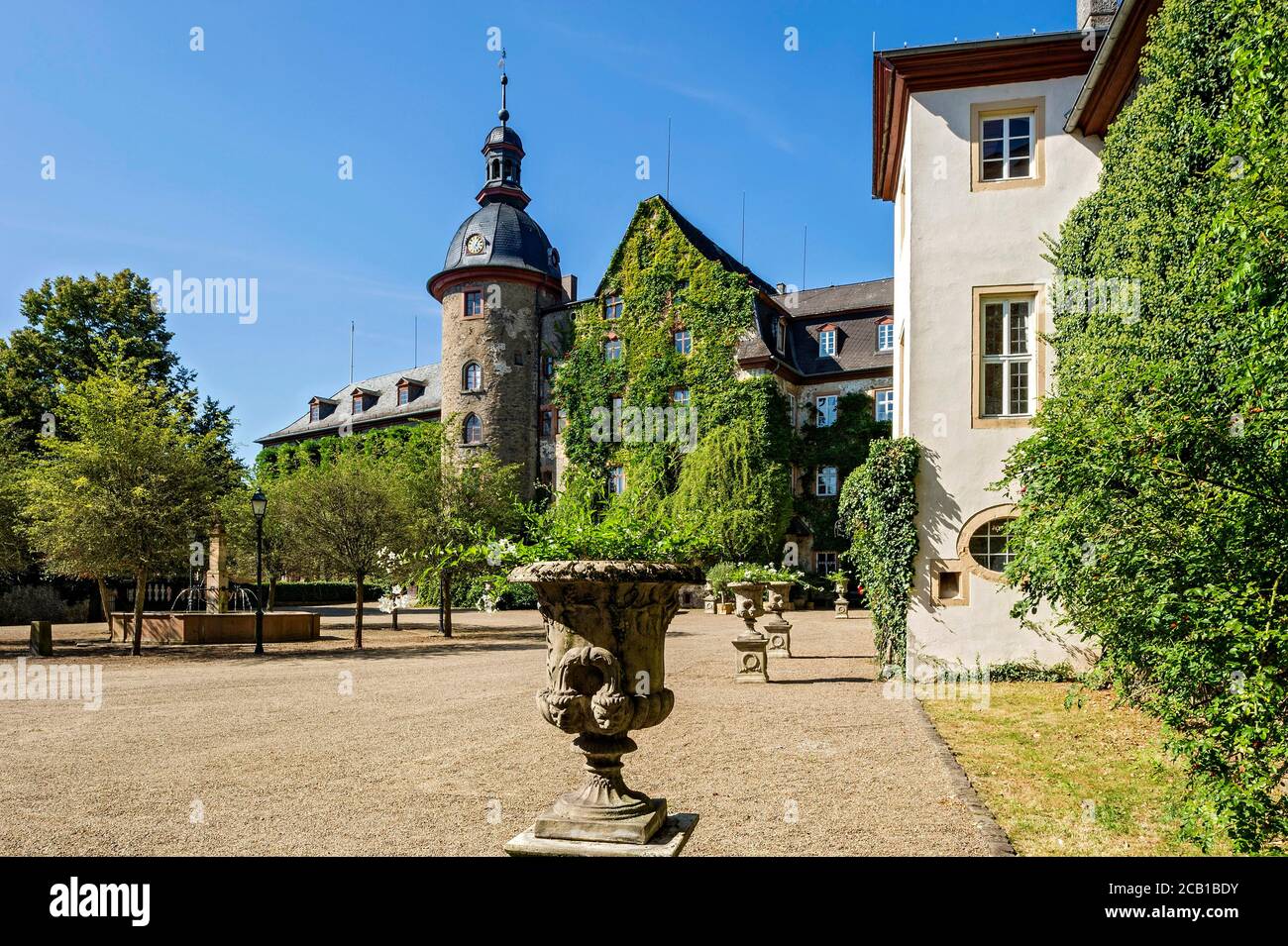 Château médiéval, Château de Laubach, surcultivé avec l'ivy commune (Hedera Helix), résidence des comtes de Solms Laubach, Laubach, Hesse, Allemagne Banque D'Images