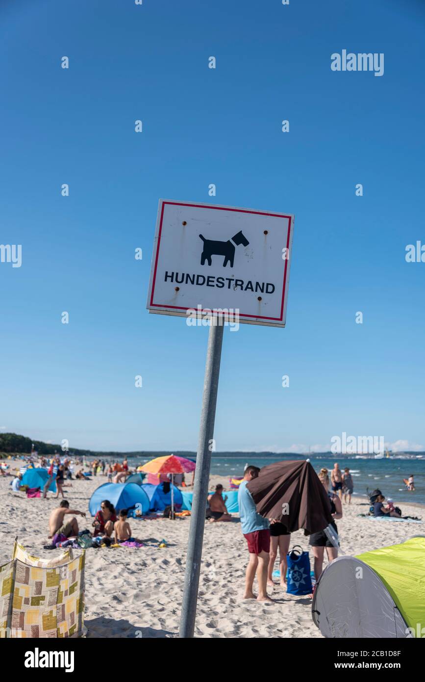 Plora, Allemagne. 04e août 2020. Un signe marque le début de la plage pour chiens. Credit: Stephan Schulz/dpa-Zentralbild/ZB/dpa/Alay Live News Banque D'Images