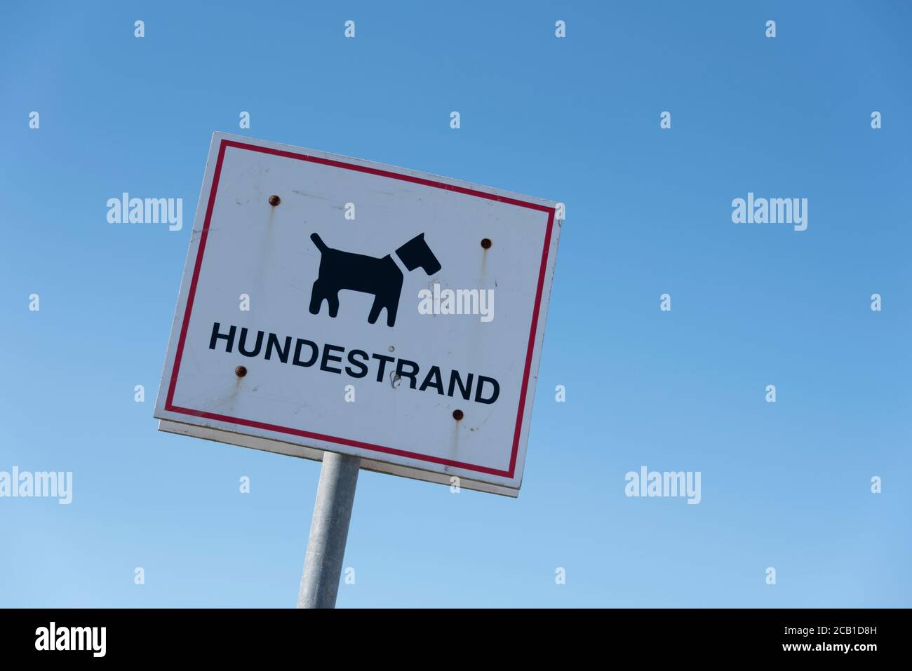 Plora, Allemagne. 04e août 2020. Un signe marque le début de la plage pour chiens. Credit: Stephan Schulz/dpa-Zentralbild/ZB/dpa/Alay Live News Banque D'Images