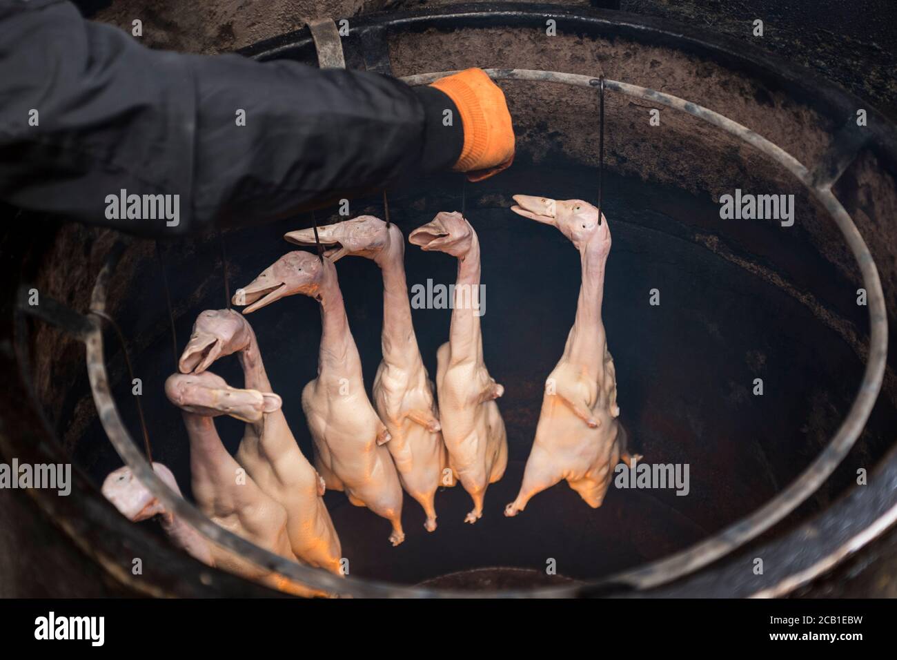 Street food, Zhongdiane, Shangri-La, Province du Yunnan, Chine, Asie, Asiatique, l'Asie orientale, Extrême-Orient Banque D'Images