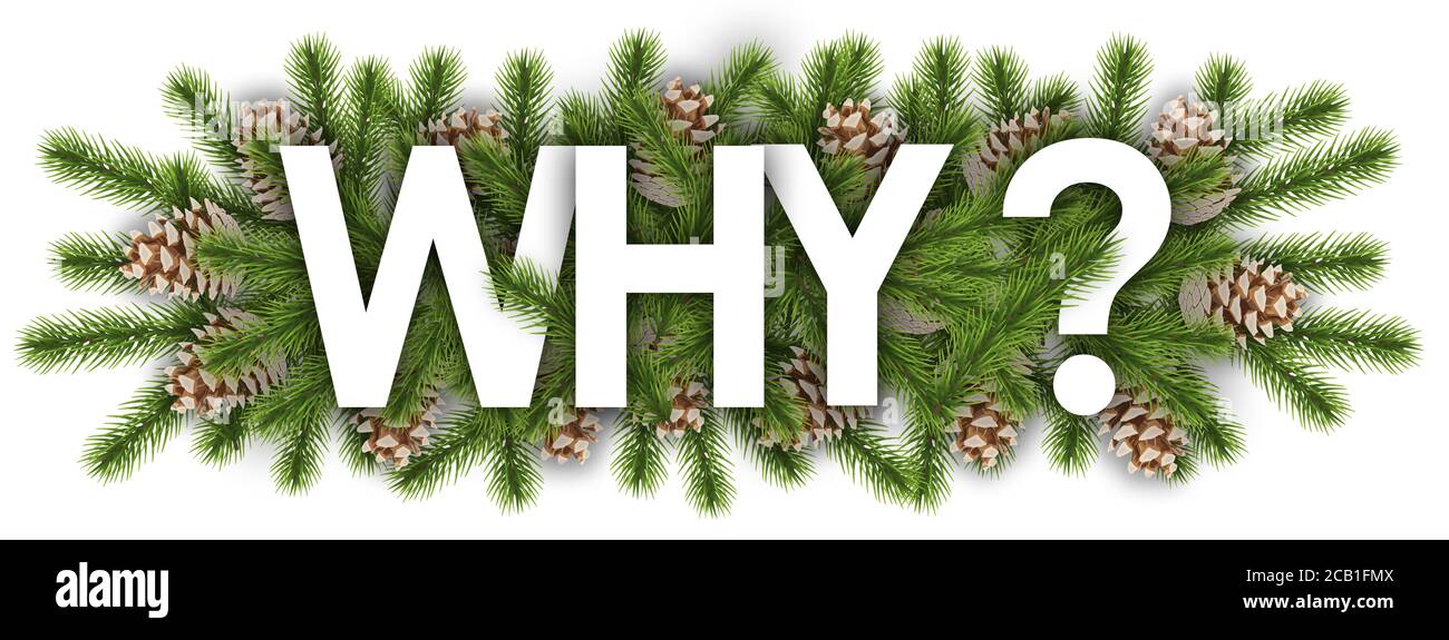 pourquoi en arrière-plan de noël - branches de pin Banque D'Images