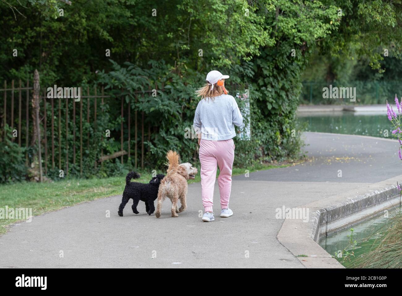 Northampton, Royaume-Uni. 10 août 2020. Les gens qui sortent avec leurs chiens pour le matin marchent tandis que l'air est encore frais car il se réchauffera plus tard dans la matinée, Abington Park, Northampton, Angleterre, Royaume-Uni. Crédit : Keith J Smith/Alamy Live News Banque D'Images
