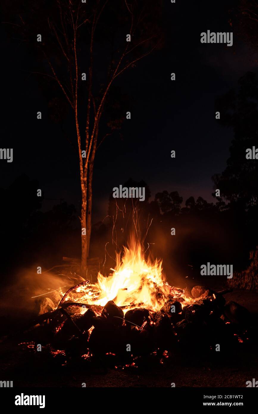Feu de camp brûlant dans l'Outback australien avec des gommiers (eucalyptus) autour Banque D'Images