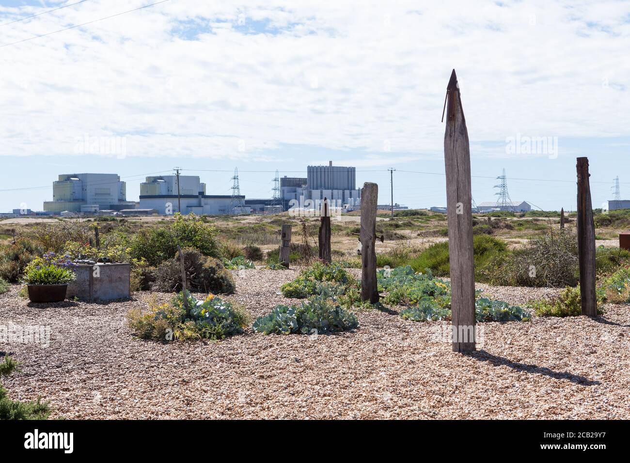 Détail du jardin de Prospect Cottage avec énergie nucléaire en arrière-plan, Dungeness, demeure du regretté artiste et réalisateur Derek Jarman. Banque D'Images