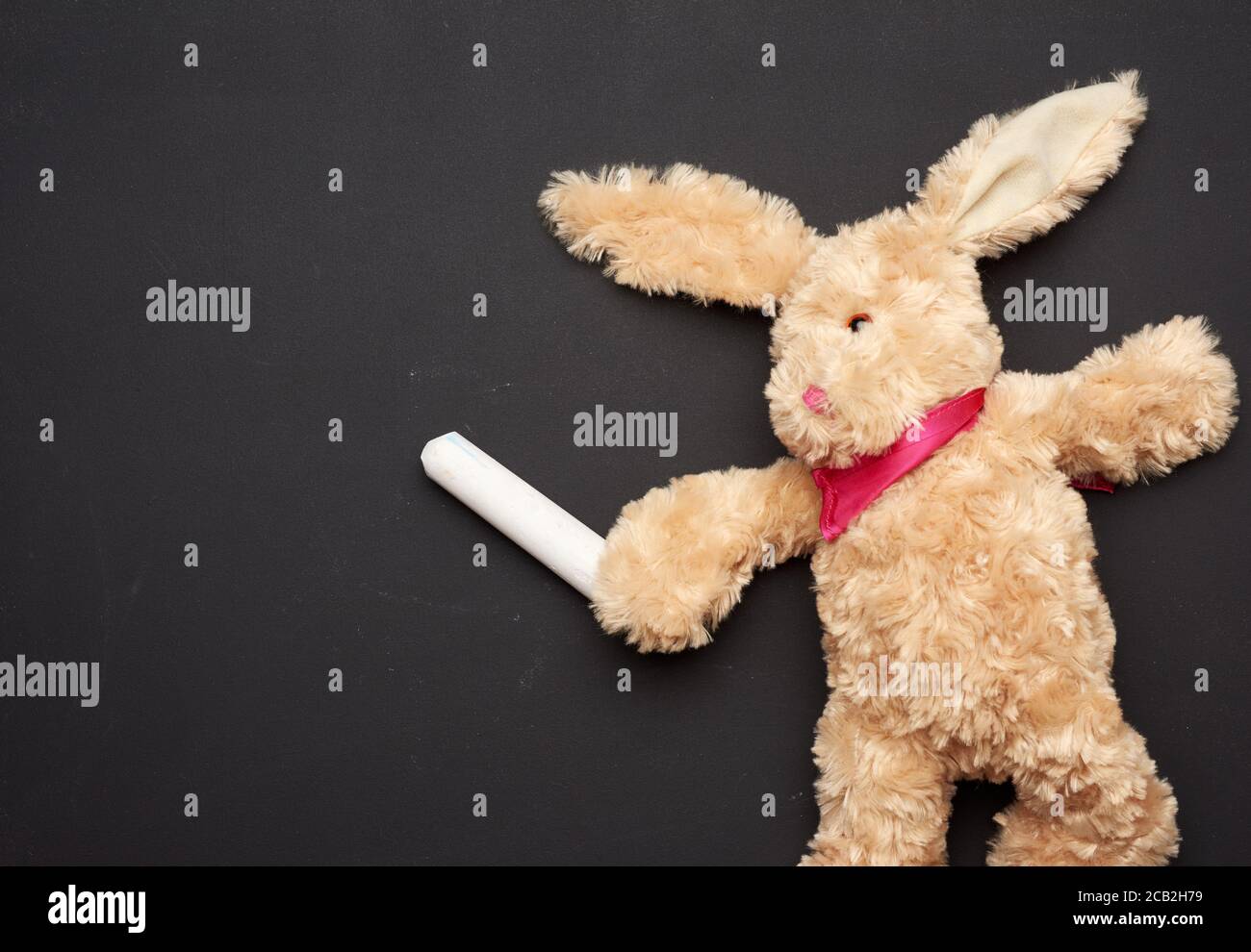 peluche de lapin beige avec de longues oreilles et de la craie blanche dans un paw sur un tableau noir de craie, espace de copie Banque D'Images