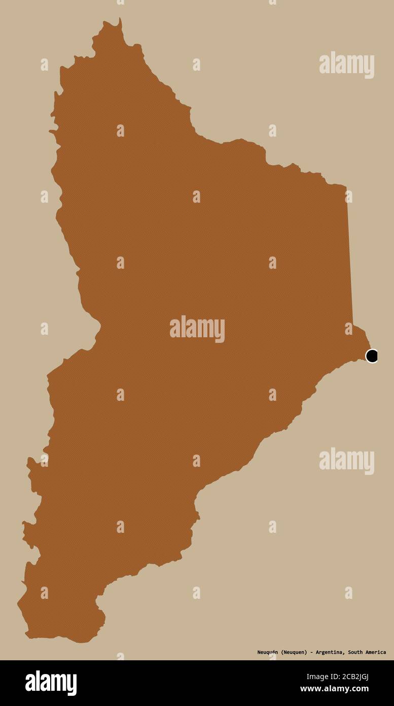 Forme de Neuquén, province d'Argentine, avec sa capitale isolée sur un fond de couleur unie. Composition des textures répétées. Rendu 3D Banque D'Images