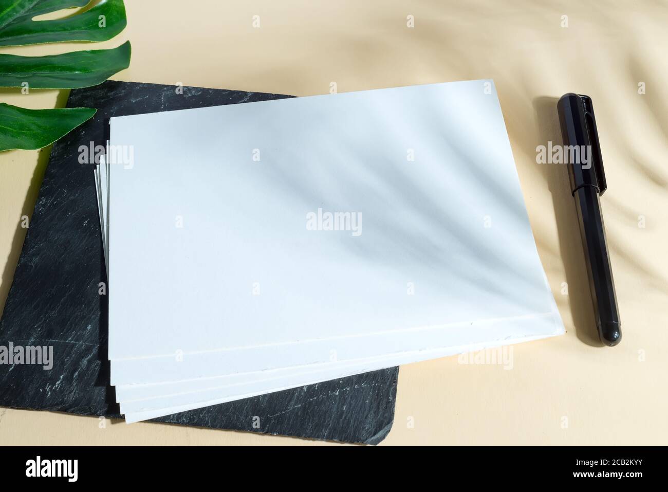 Maquette de feuilles de papier blanc vide avec marqueur noir et vert feuille de palmier sur un plateau de pierre sur un jaune pastel arrière-plan avec ombre de la paume tropicale a Banque D'Images