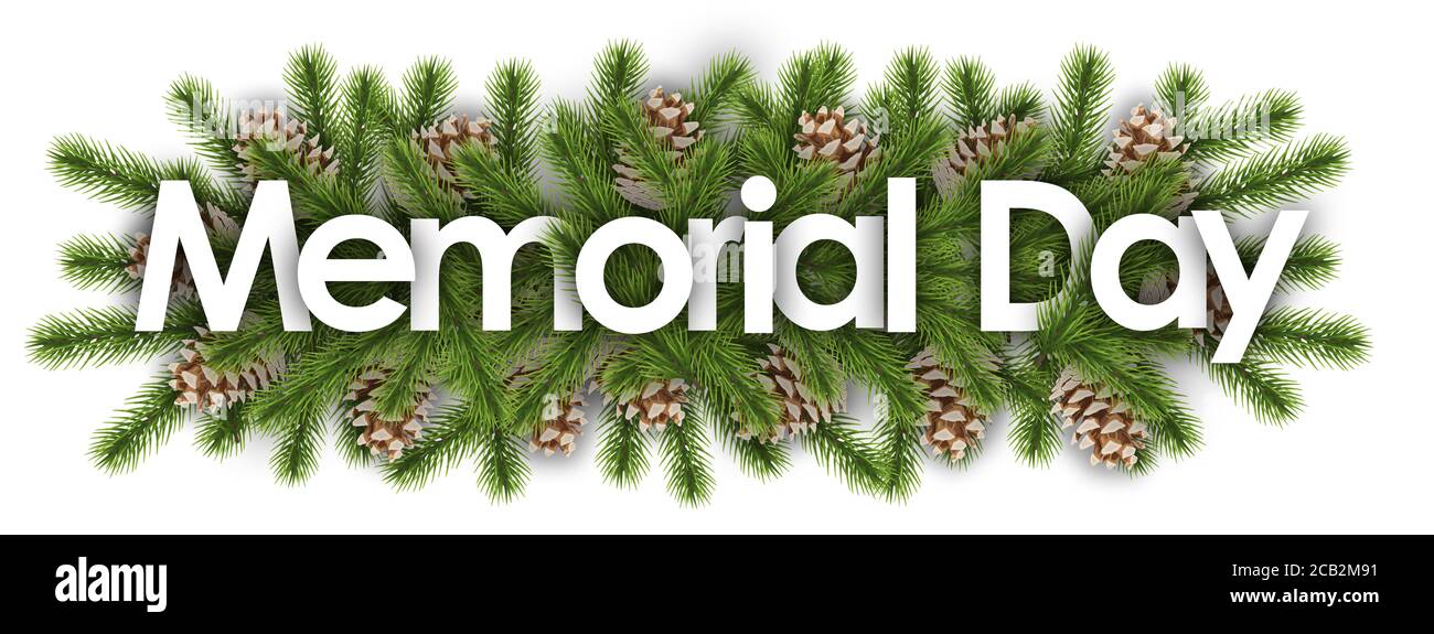 Memorial Day en arrière-plan de noël - branches de pin Banque D'Images
