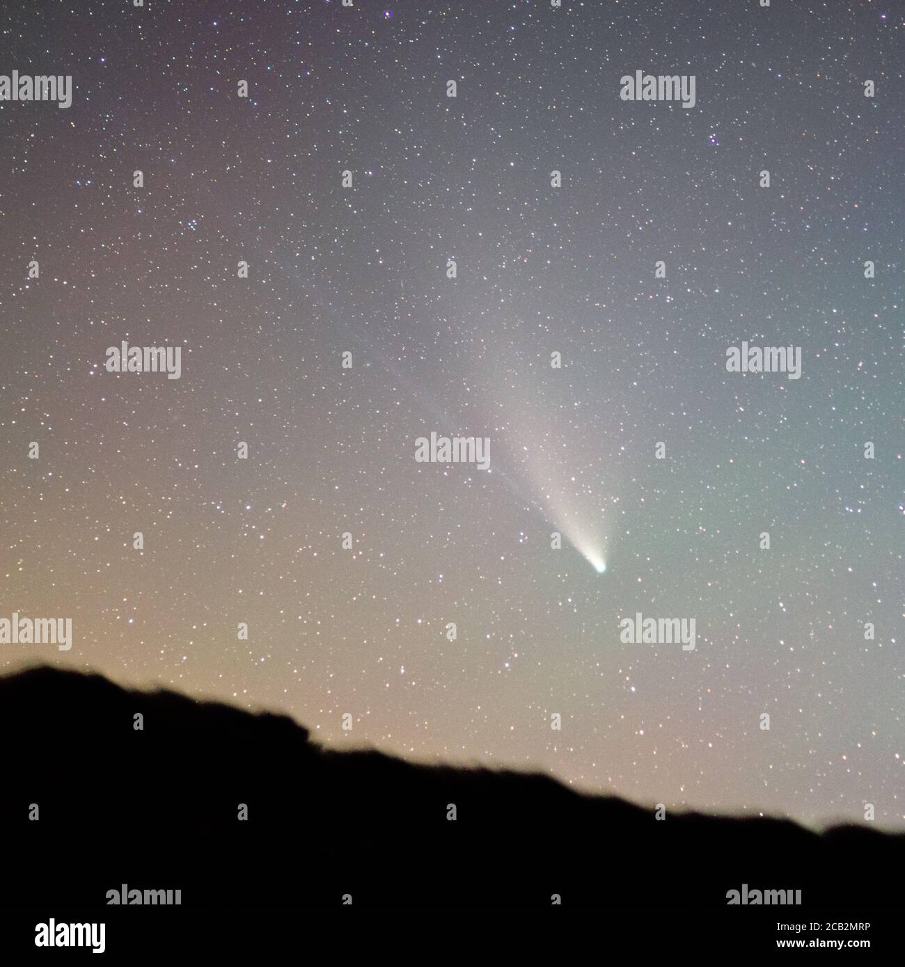 Comet C/2020 F3 'Neowise' prise de Uwchmynydd, pays de Galles, le 28 juillet 2020. Empilé à partir de plusieurs images fixes. ROYAUME-UNI. Astrophotographie. Ciel étoilé foncé Banque D'Images