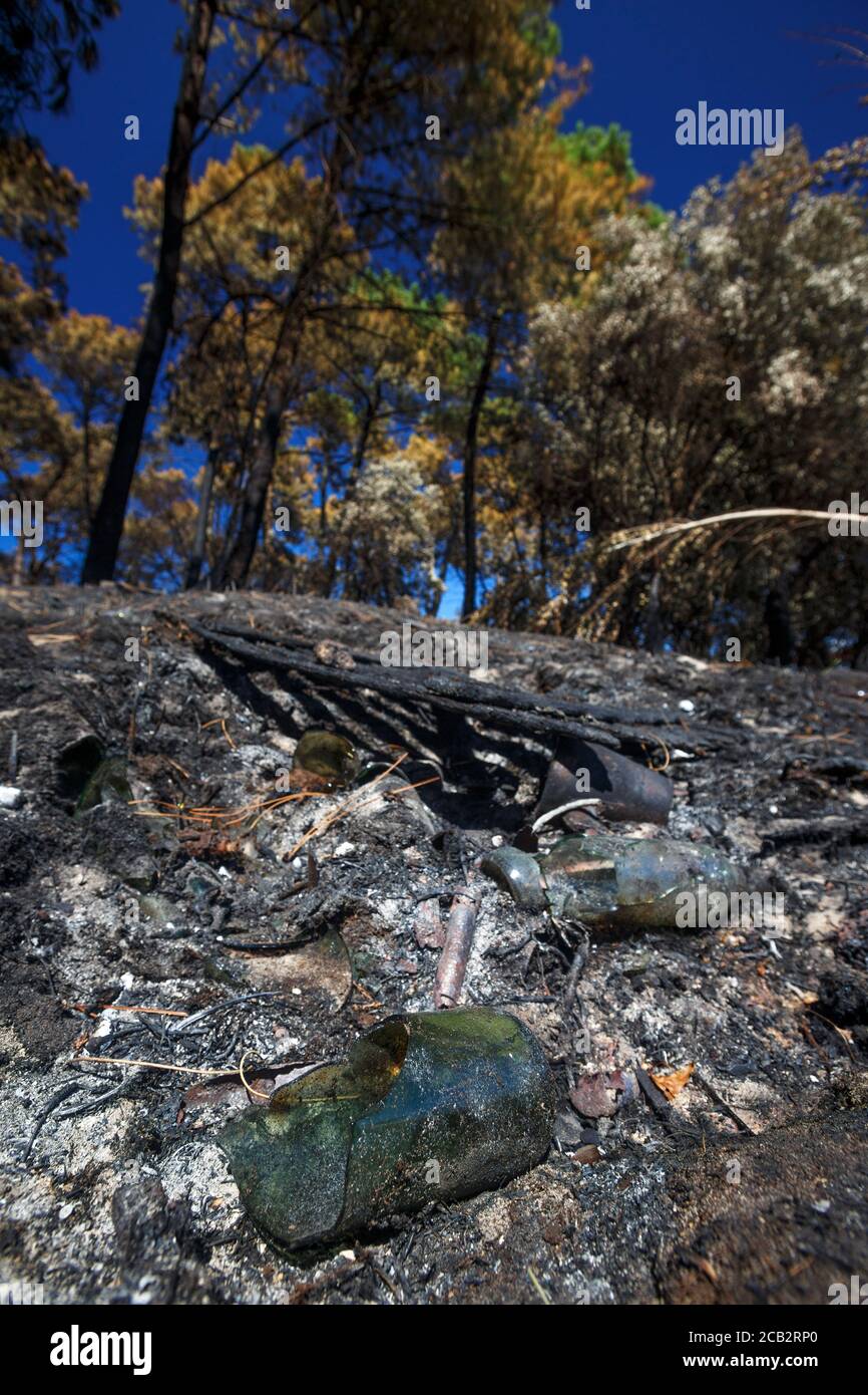 Des éclats de verre près du stade Orok Bat, point de départ de l'incendie de la forêt de Chiberta le 2020 juillet (Anglet Atlantic Pyrenees France). Feu de forêt. Blaze Banque D'Images