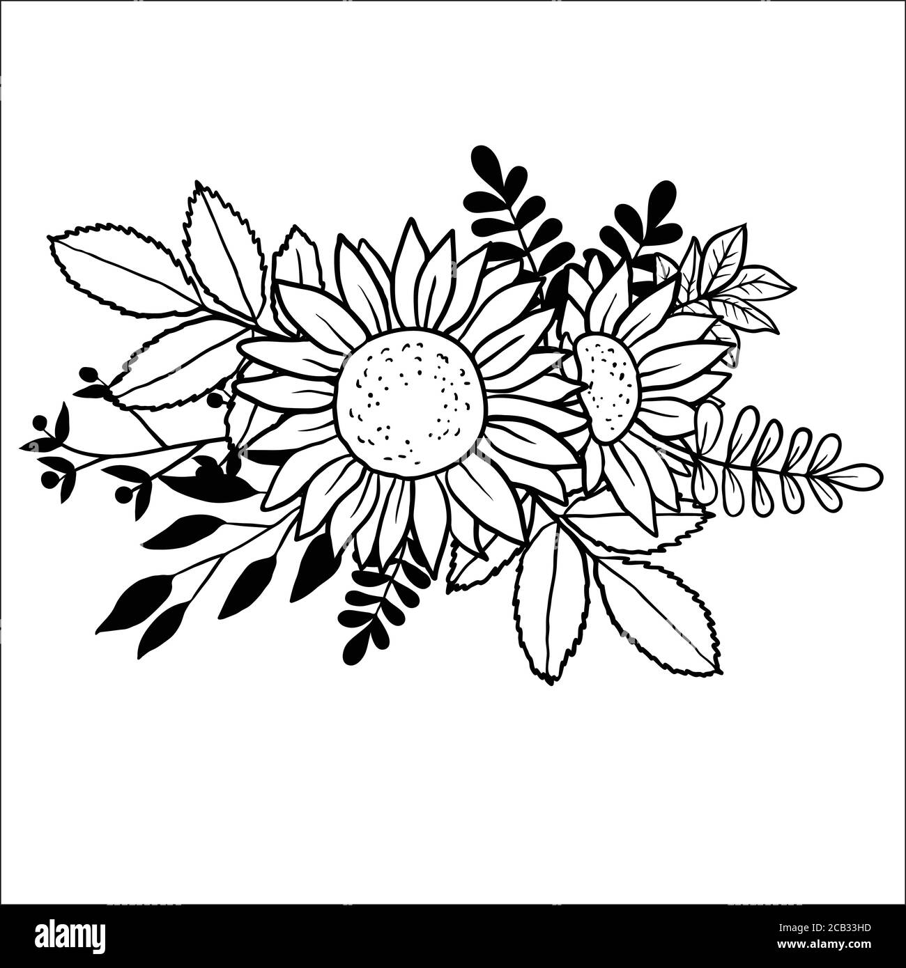 Image vectorielle des tournesols dessinés à la main Illustration de Vecteur