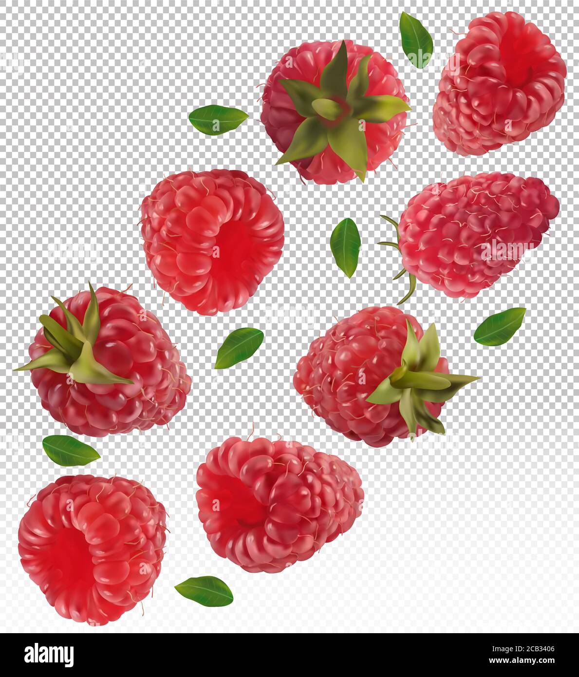 Framboise tombant de différents angles. Framboise volante avec feuille verte sur fond transparent. Framboise réaliste 3D. Framboise tombant de différents angles. Illustration vectorielle Illustration de Vecteur