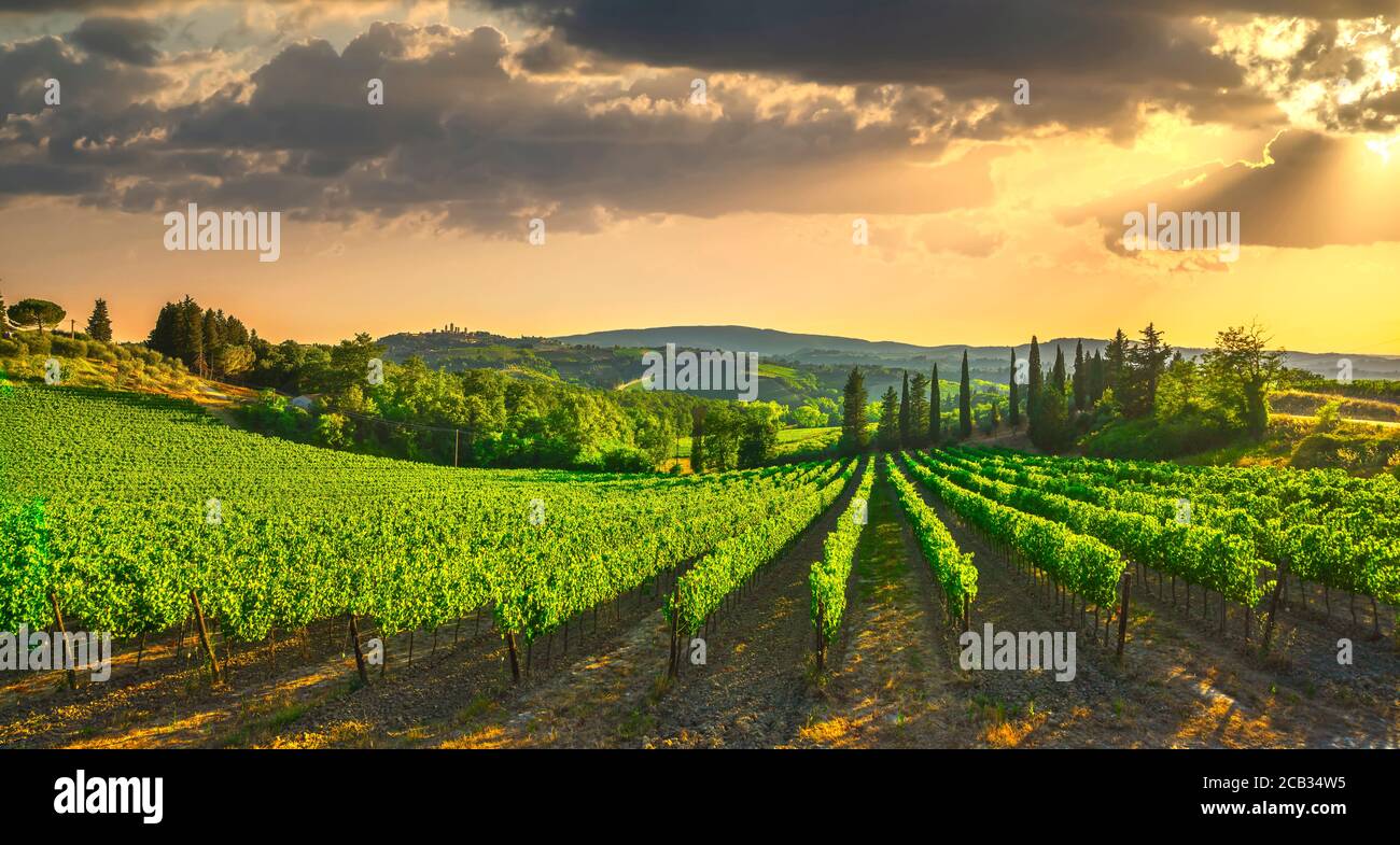 Tours de ville médiévale de San Gimignano et de vignobles skyline panorama paysage campagne sur le lever du soleil. La Toscane, Italie, Europe. Banque D'Images