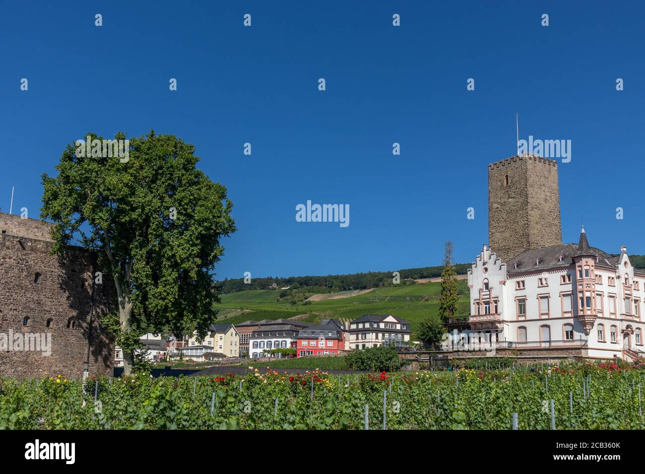 Brömserburg et Boosenburg, deux châteaux de Rüdesheim am Rhein, ville viticole de Hesse, Allemagne Banque D'Images