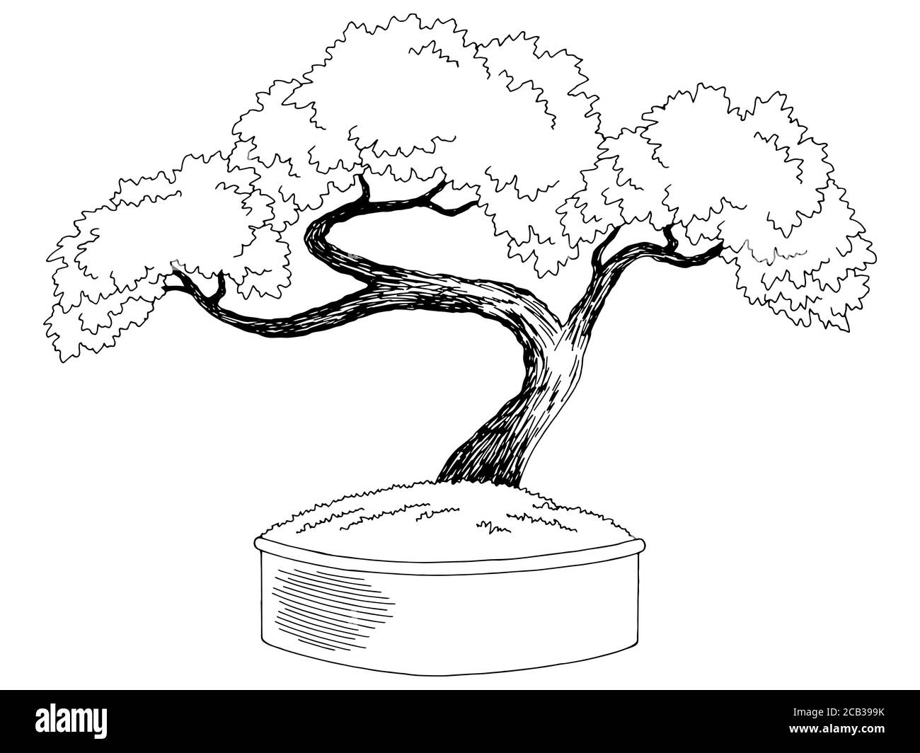 Graphique de l'arbre Bonsai noir blanc isolé esquisse vecteur d'illustration Illustration de Vecteur