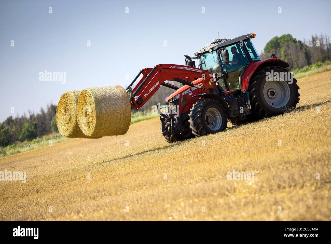 Springe, Allemagne. 10 août 2020. Un agriculteur transporte des balles de  paille avec son tracteur à des températures moyennes. La chaleur et la  sécheresse ont mis les agriculteurs à l'épreuve au plus
