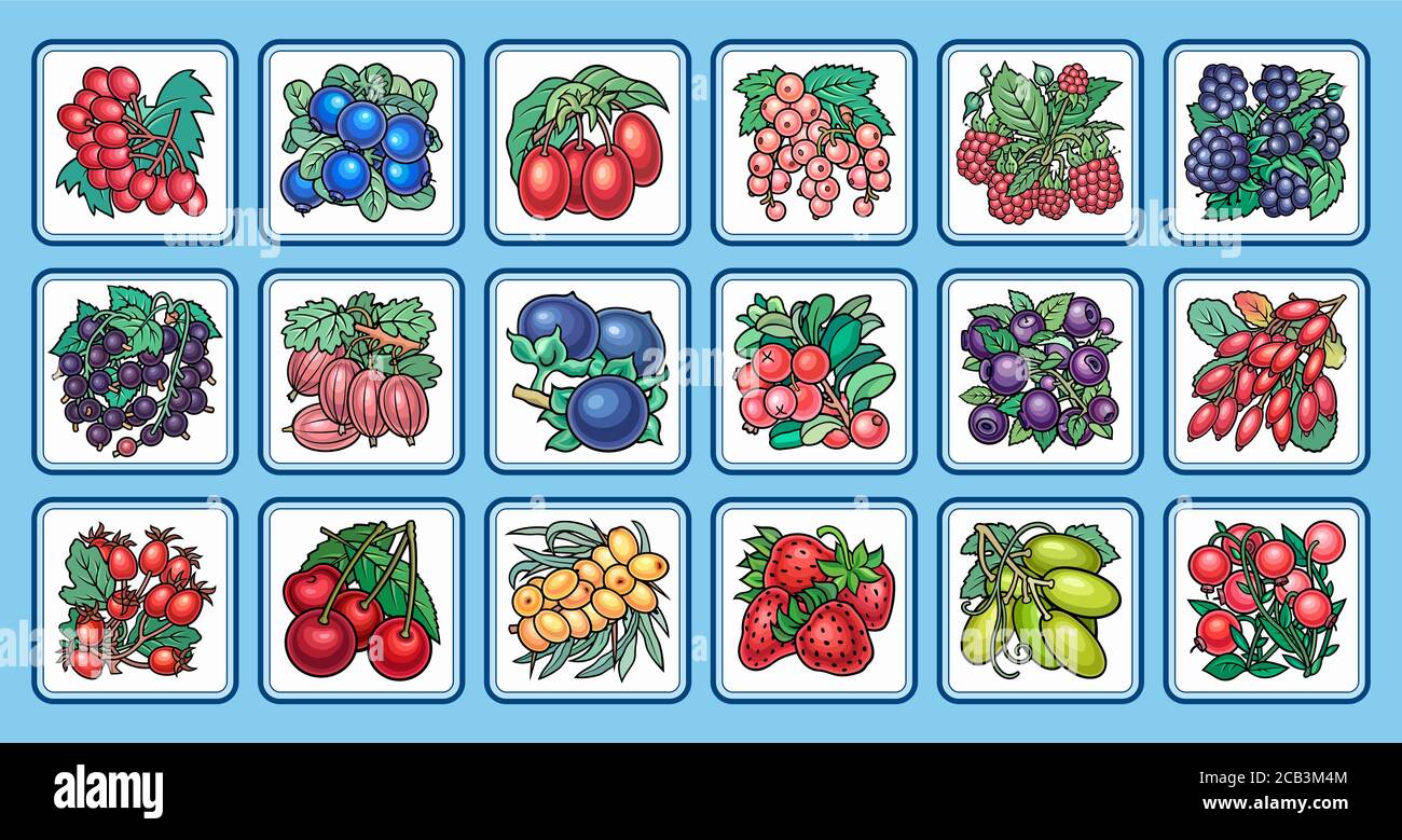 Dominos pour enfants. Photos de fruits. Illustration de Vecteur