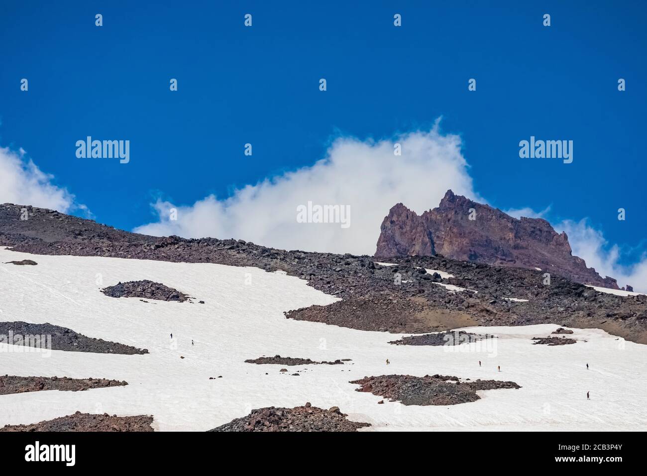 Grimpeurs se dirigeant vers Camp Muir sur un champ de neige au-dessus de Panorama point, vu depuis le Skyline Trail, le parc national du Mont Rainier, État de Washington, Banque D'Images