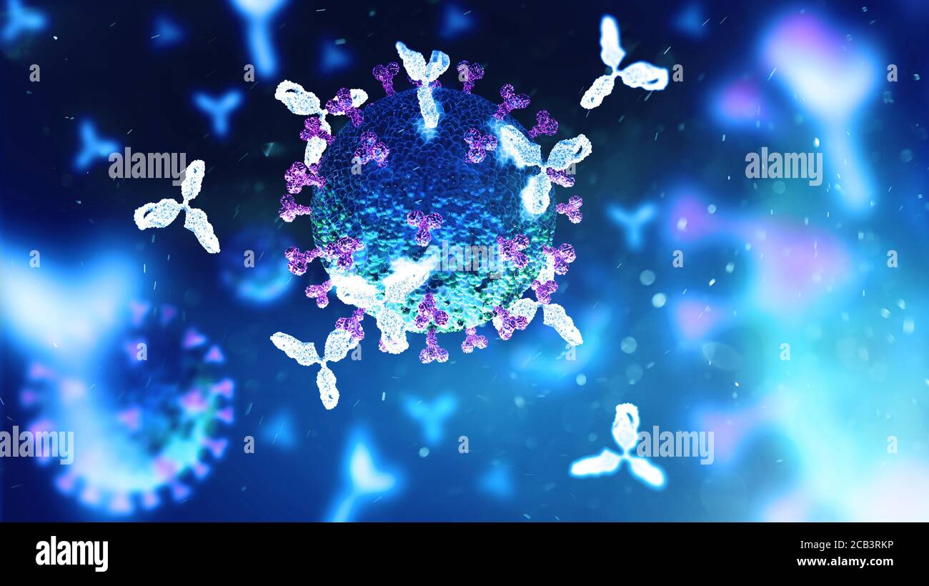 Anticorps attaquant le virus du SRAS-COV-2, illustration 3D pour le traitement, le diagnostic et la prévention du coronavirus chinois COVID19 Banque D'Images
