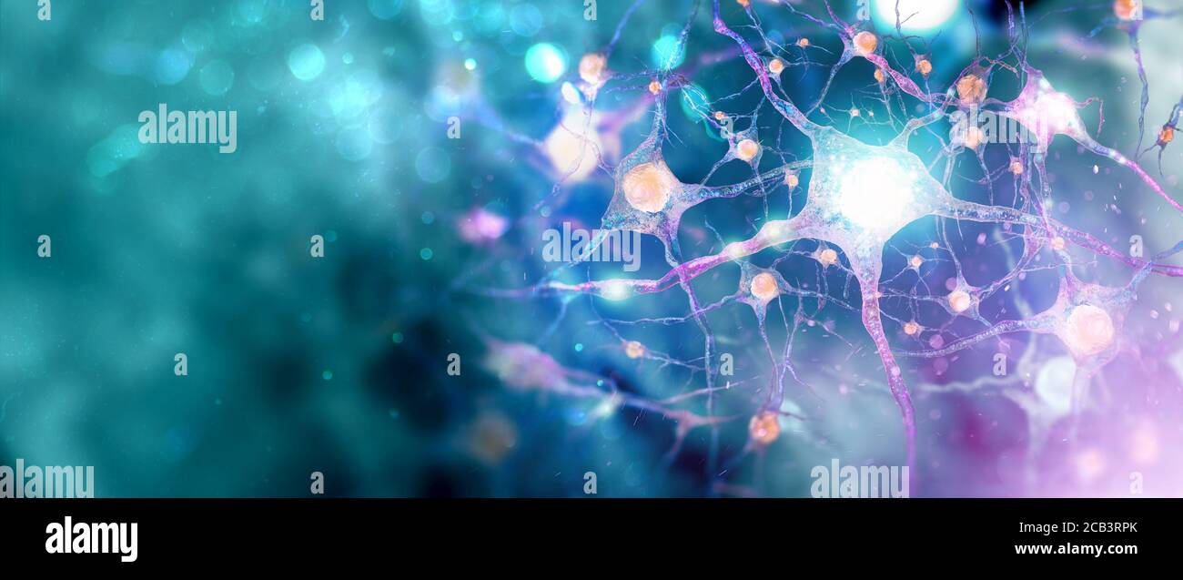 Réseau neuronal. Arrière-plan du système nerveux humain avec espace de copie (bannière de rendu de microbiologie 3d) Banque D'Images