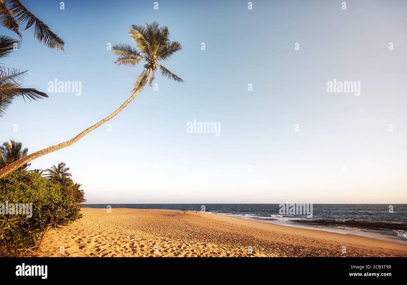 Image rétro d'une plage tropicale vide au coucher du soleil. Banque D'Images