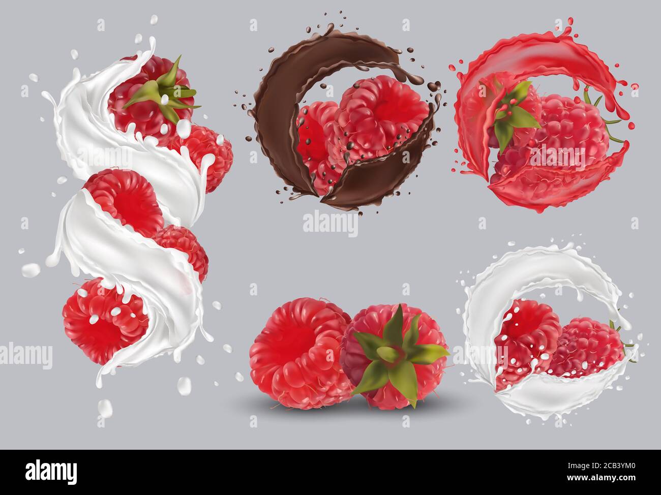 Framboise réaliste 3D dans les éclaboussures de lait et de chocolat. Pressez la framboise avec des gouttes. Framboise rouge fraîche sur fond transparent. Baies organiques.illustration vectorielle détaillée. Illustration de Vecteur