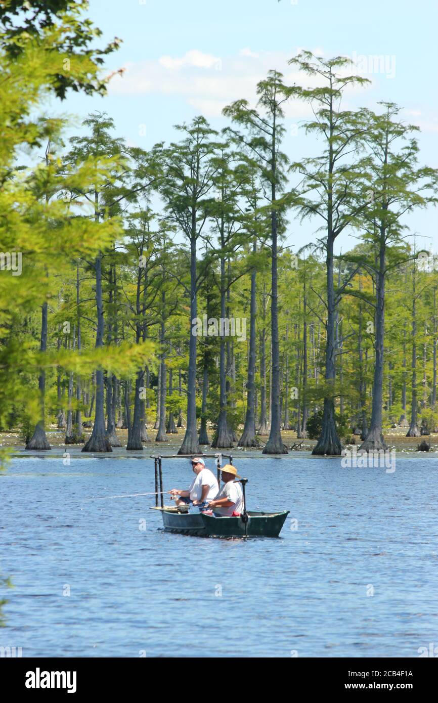 Homme pêche à partir d'un bateau sur un lac avec Cypruss arbres Banque D'Images