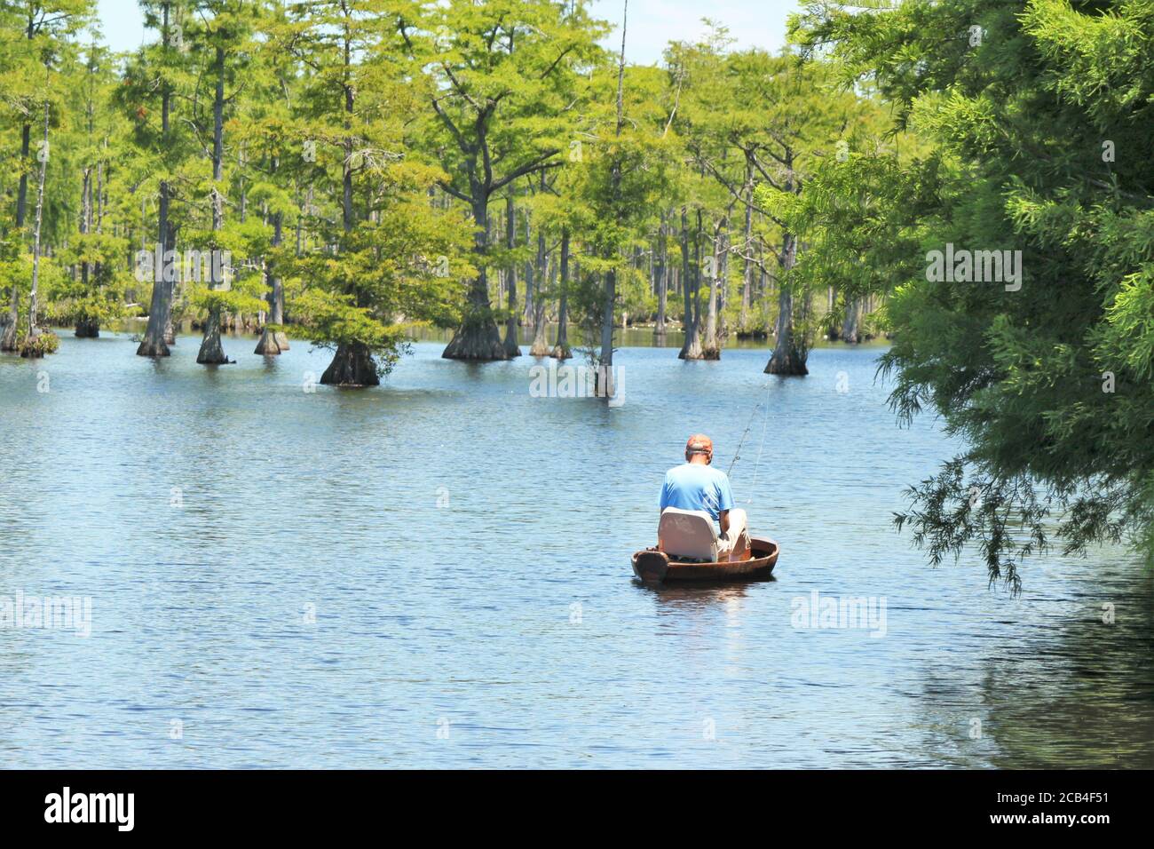 Homme pêche à partir d'un bateau sur un lac avec Cypruss arbres Banque D'Images