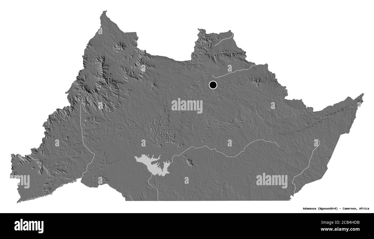 Forme D Adamaoua R Gion Du Cameroun Avec Sa Capitale Isol E Sur Fond Forme D Adamaoua Region Du Cameroun Avec Sa Capitale Isolee Sur Fond Blanc Carte D Elevation A Deux Niveaux Rendu 3d 2cb4hdb 