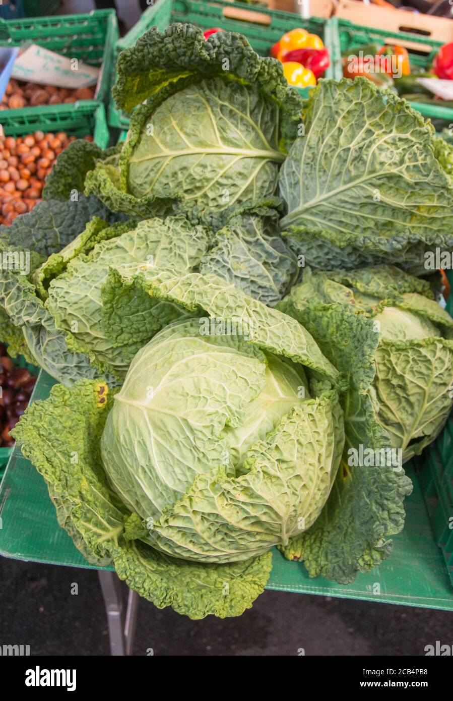 Chou à vendre sur un marché agricole. Têtes de chou. Banque D'Images