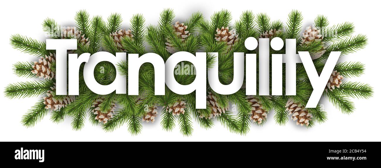 Tranquillité en arrière-plan de noël - branches de pin Banque D'Images