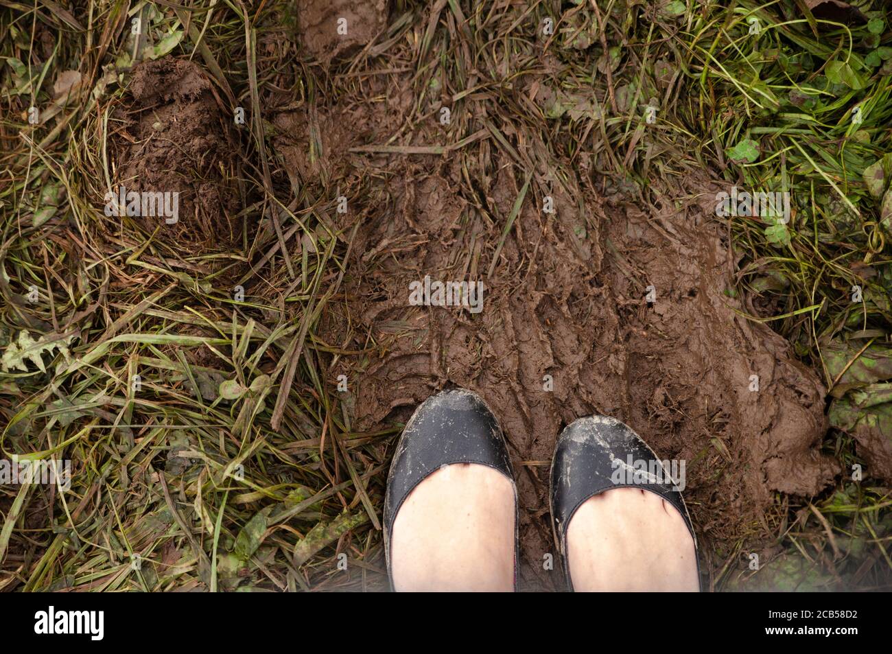 Deux pieds portant des chaussures plates de ballet noires recouvertes de boue sont debout sur l'imprimé boueux d'un camion au milieu de l'herbe verte. Banque D'Images