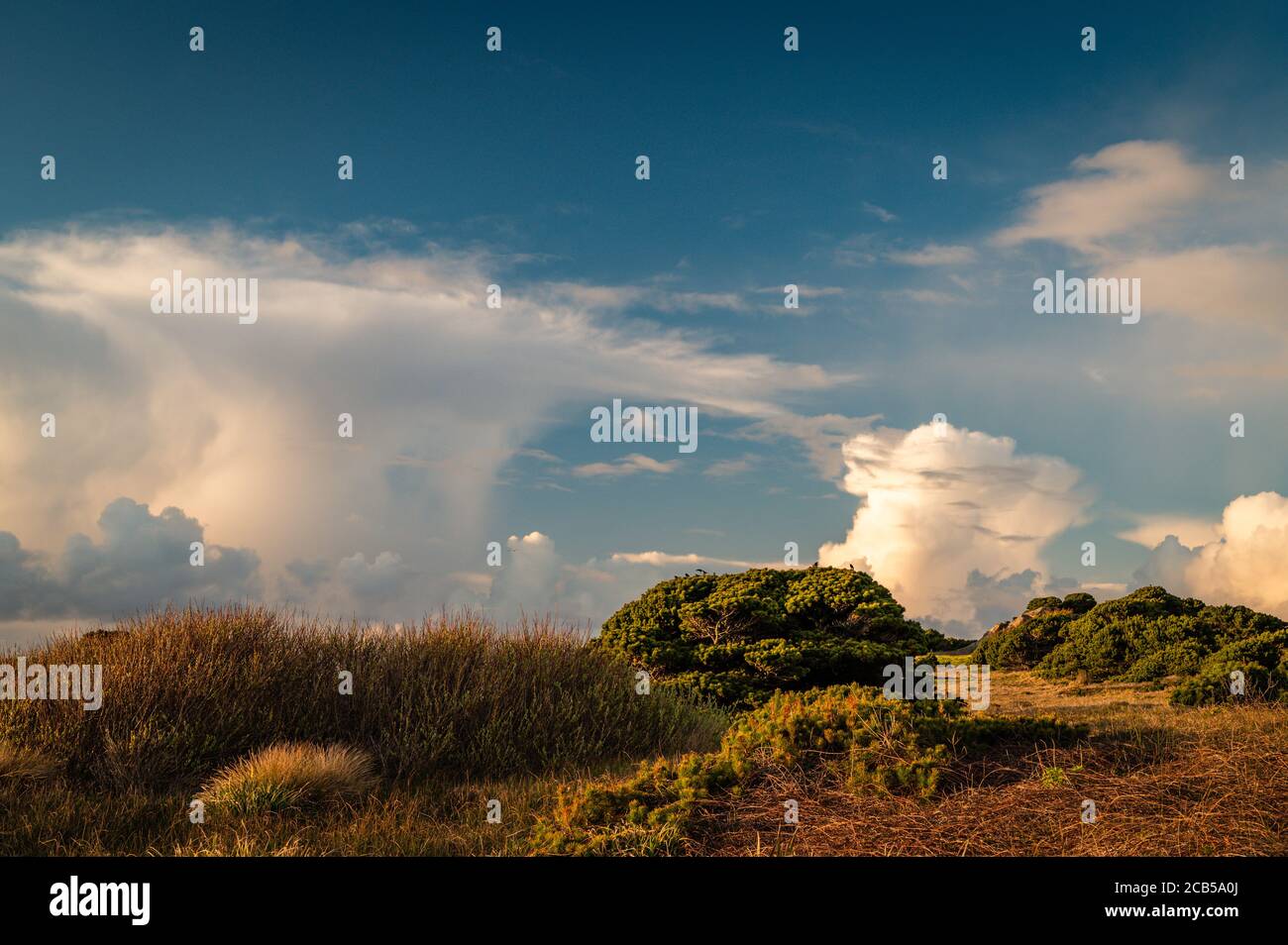 Des nuages spectaculaires sur des paysages vides avec des plantes côtières. Banque D'Images