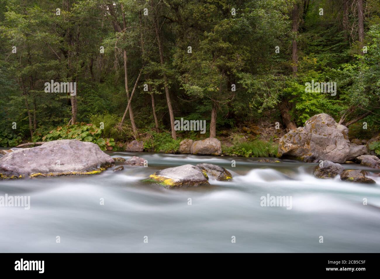 L'écoulement de l'eau de la rivière ressemble à un nuage ou à du lait avec de gros rochers et rive verte de la rivière Banque D'Images