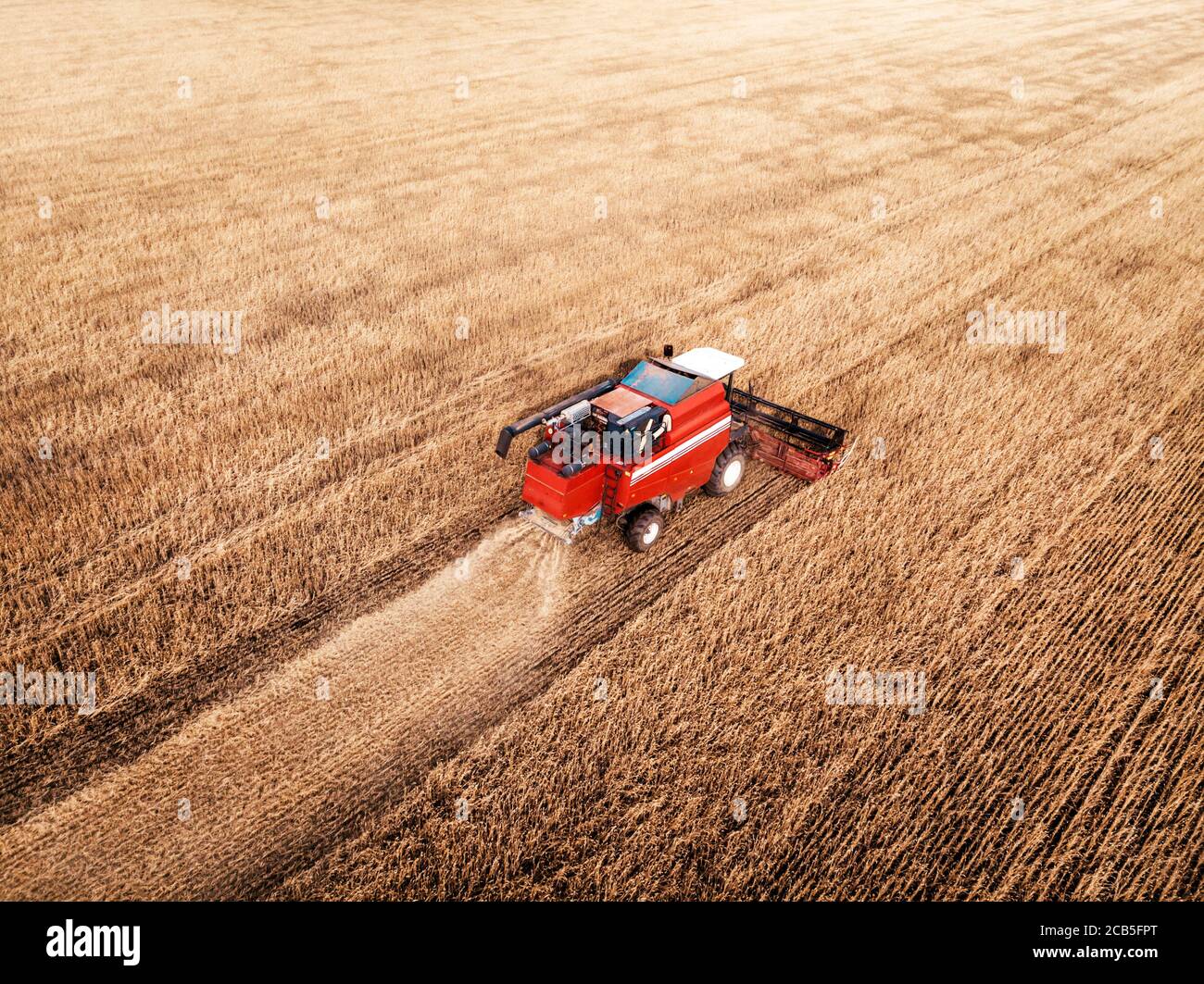 Machine agricole la récolte dans les champs. Le tracteur tire sur un mécanisme pour la fenaison. La récolte en automne le matin à l'aube dans l'agroalimentaire. Banque D'Images
