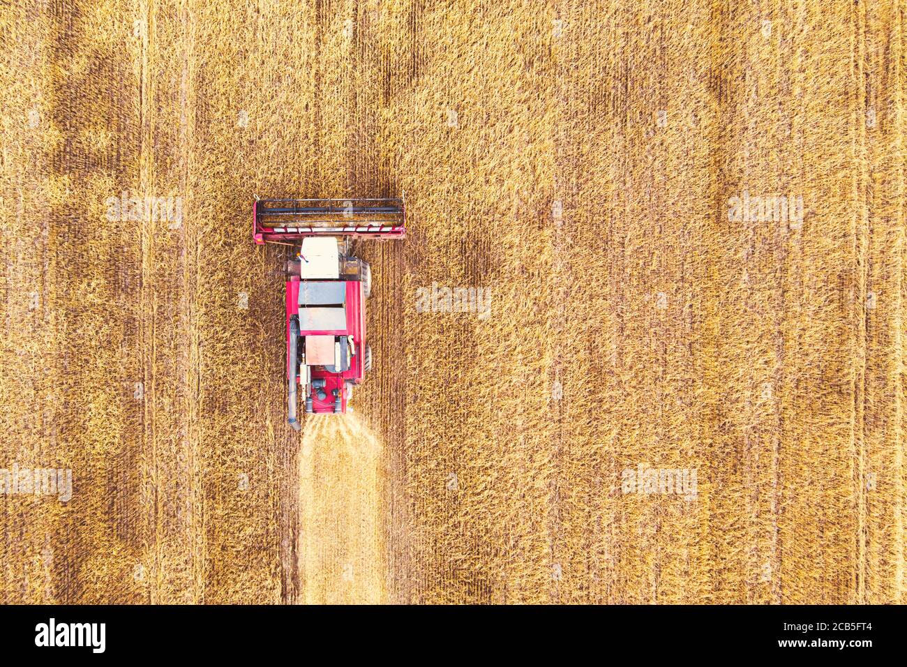 Vue aérienne de drone harvest field avec le tracteur tond l'herbe sèche. Champ jaune d'automne avec une botte après la récolte vue d'en haut. La récolte dans les champs Banque D'Images