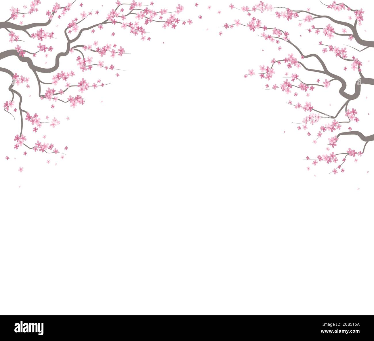Cadre de carte de cerisier en forme de fleur Sakura. Dessin à la main. Fleur rose japonaise branche d'arbre de prunus. Fleur de printemps. Illustration graphique. Sakura rose Banque D'Images Cadre de carte de cerisier en forme de fleur Sakura. Dessin à la main. Fleur rose japonaise branche d'arbre de prunus. Fleur de printemps. Illustration graphique. Sakura rose Banque D'Images