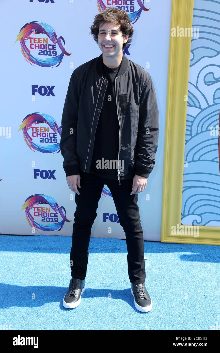 LOS ANGELES - 11 AOÛT : David Dobrik au Teen Choice Awards 2019 à Hermosa Beach le 11 août 2019 à Hermosa Beach, CA Banque D'Images