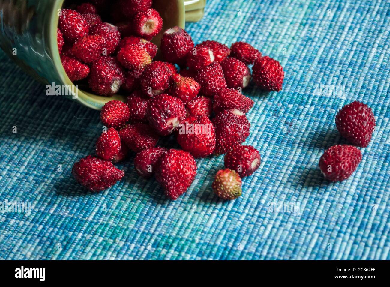 Fraises rouges mûres et juteuses dans un plat en céramique sombre sur fond bleu Banque D'Images