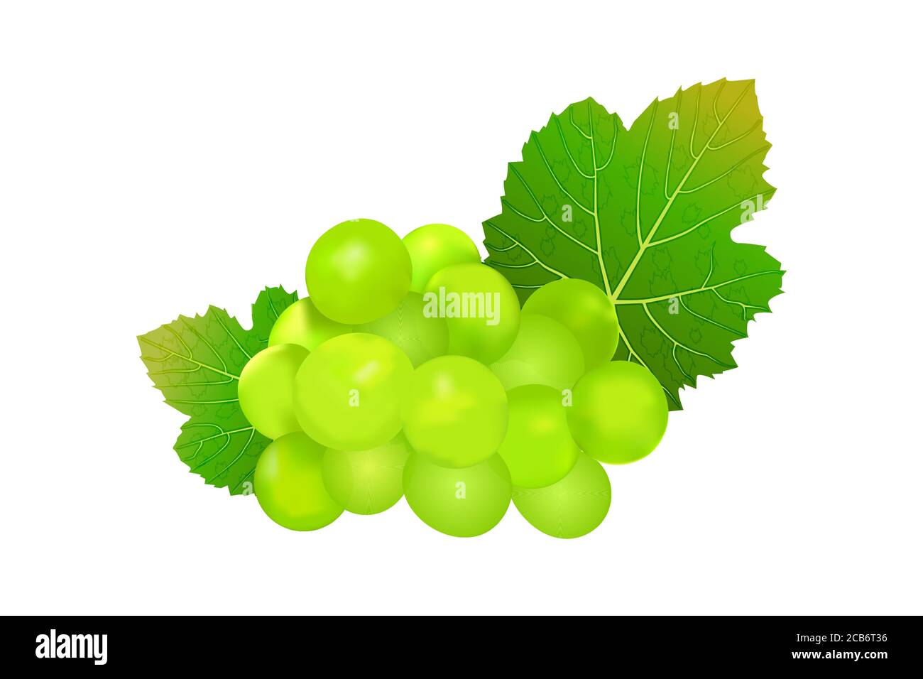 Raisins isolés sur fond blanc. Icône raisin de vin. Bouquet de raisins verts avec feuille.grappe de raisins verts avec feuilles vertes.illustration vectorielle de stock Illustration de Vecteur