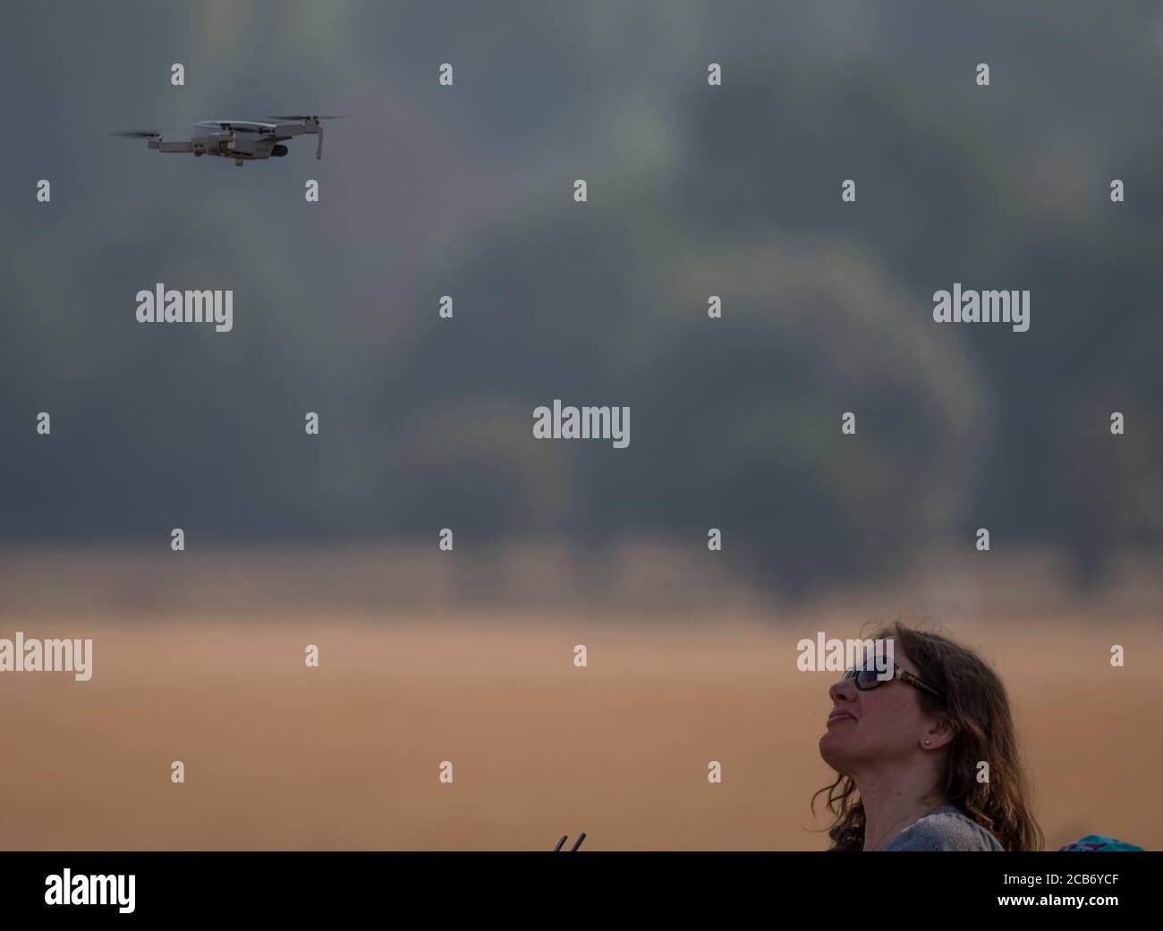 Richmond Park, Londres, Royaume-Uni. 11 août 2020. La vague de chaleur se poursuit à Londres. Une femme vole un drone dans le champ de vol en parachute du parc Richmond. Crédit : Malcolm Park/Alay Live News. Banque D'Images