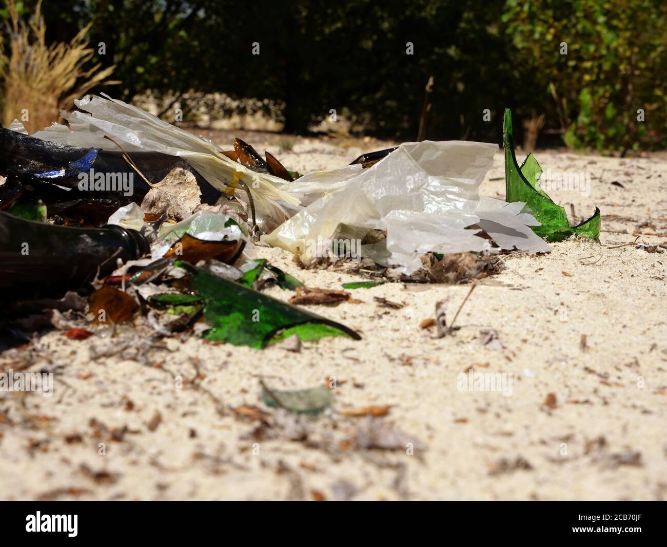 Déchets, bouteilles de verre sur le sol dans la forêt. Banque D'Images