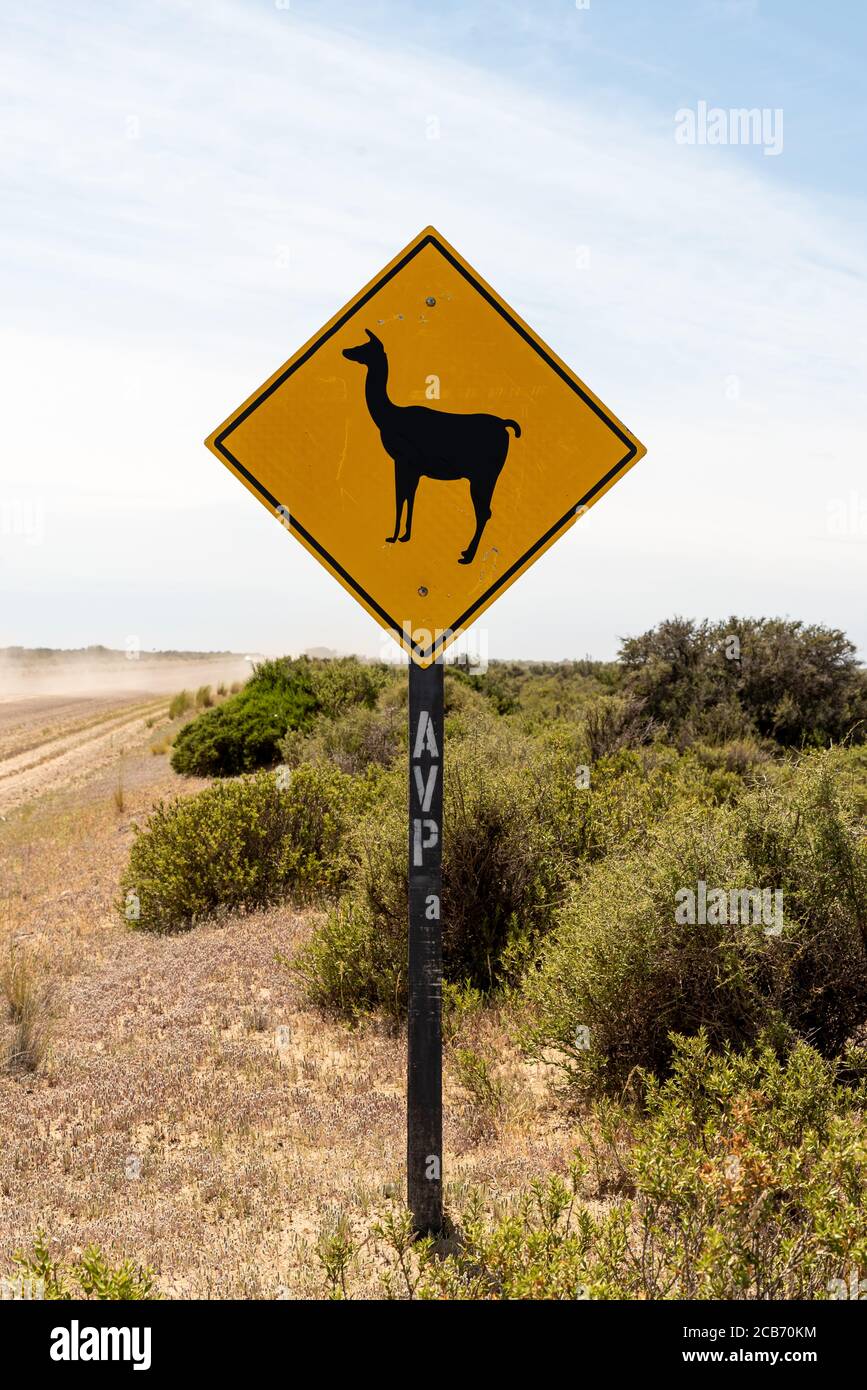 11 novembre 2019 : un panneau de signalisation lama vu en Patagonie, Argentine Banque D'Images
