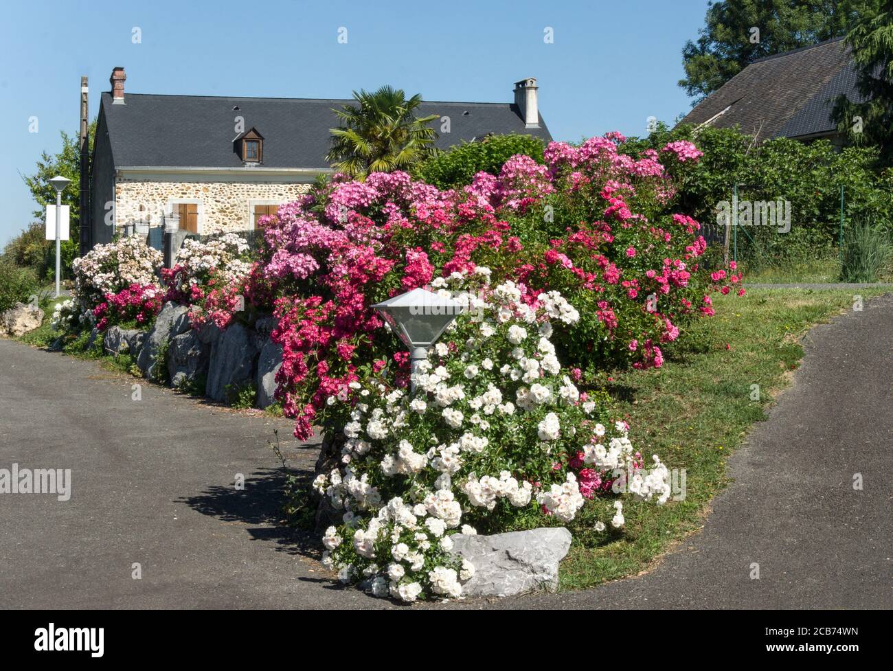 Maison de campagne française avec roses.Foothills des Pyrénées. Hautes-Pyrénées.Sud-Ouest de la France. Banque D'Images