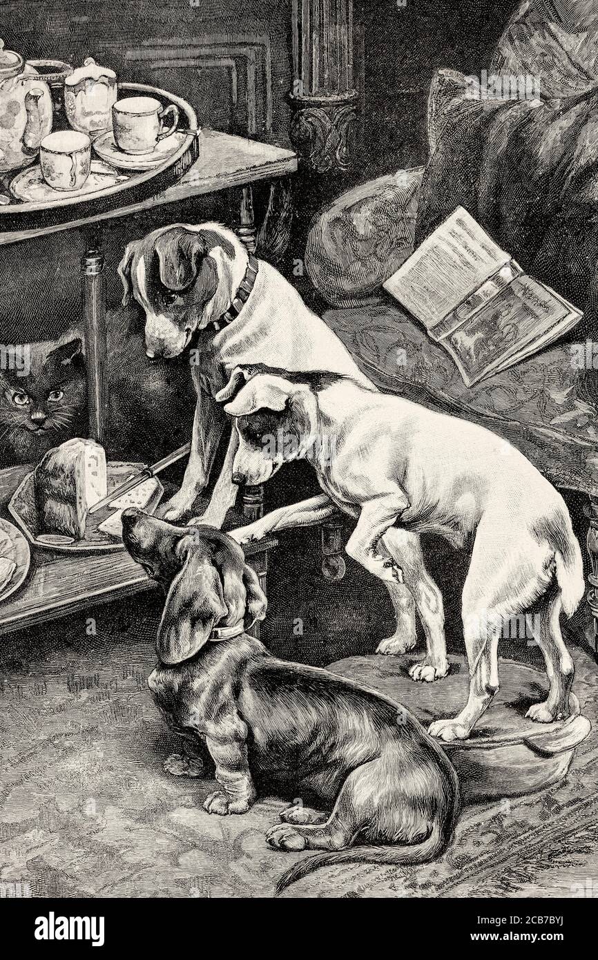 Scènes de chien peintures de Fannie Moody (1861-1948) peintre britannique. Illustration gravée de la Ilustracion Española y Americana datant du XIXe siècle 1894 Banque D'Images